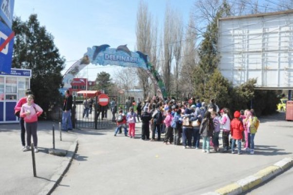 250 de copii, însoţiţi de imami şi părinţi, în vizită la Delfinariu